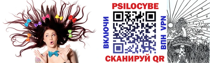 Псилоцибиновые грибы Psilocybine cubensis  Купить  Городец 